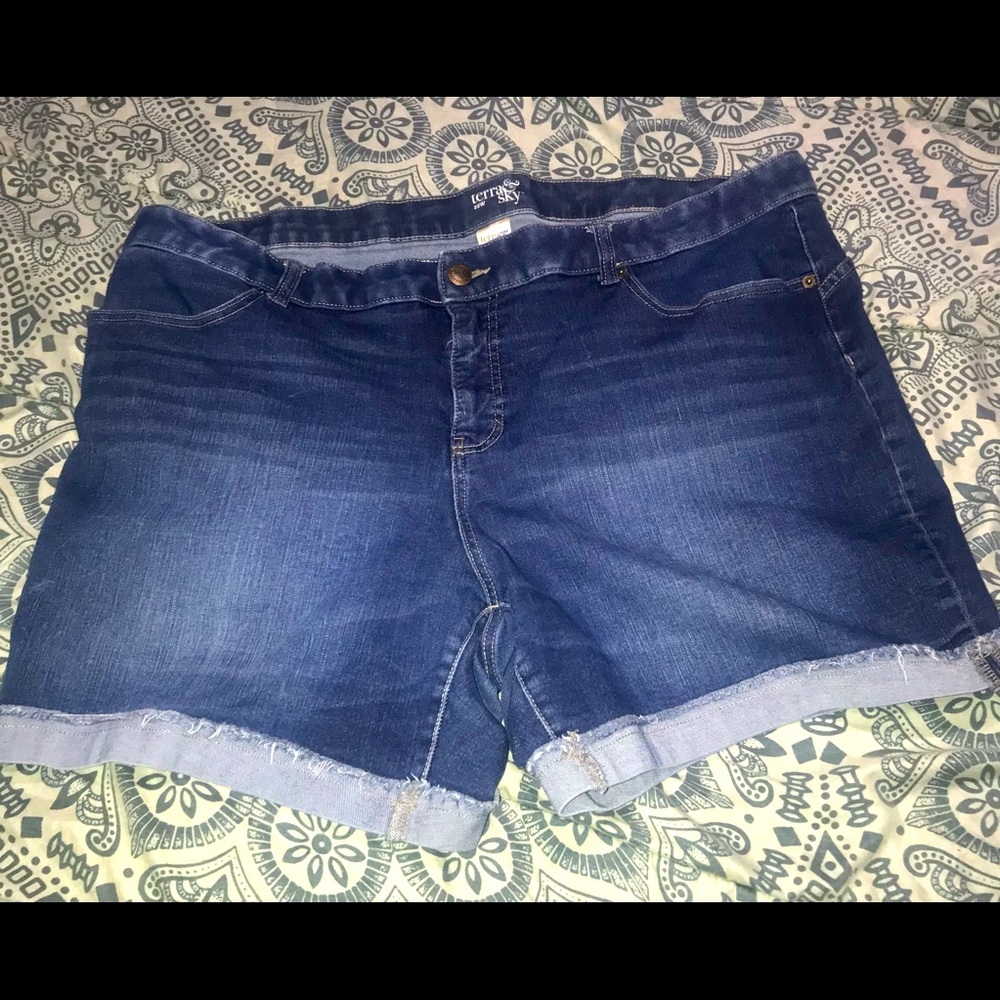 Terra & Sky plus size women’s shorts Size 22